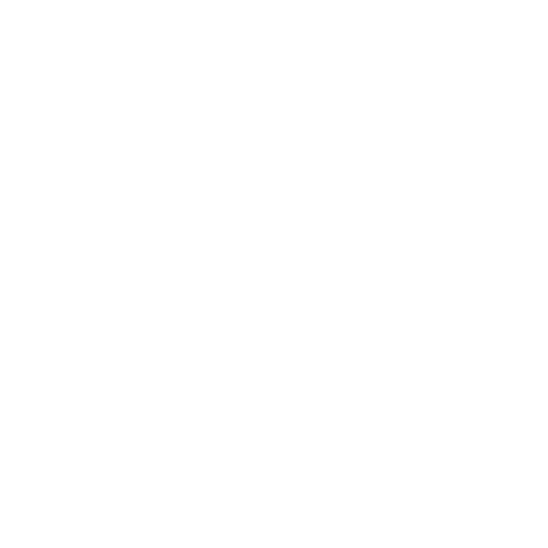 河内芳佳/ヒシアマゾン